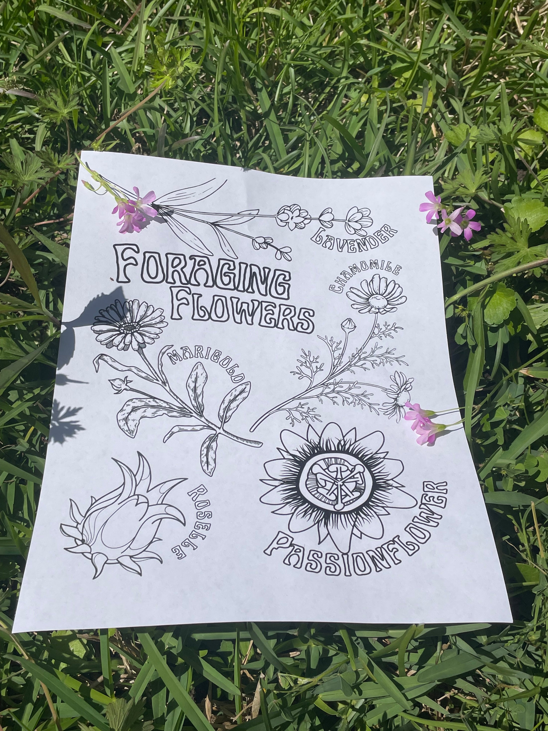 Foraging Flowers Coloring Page