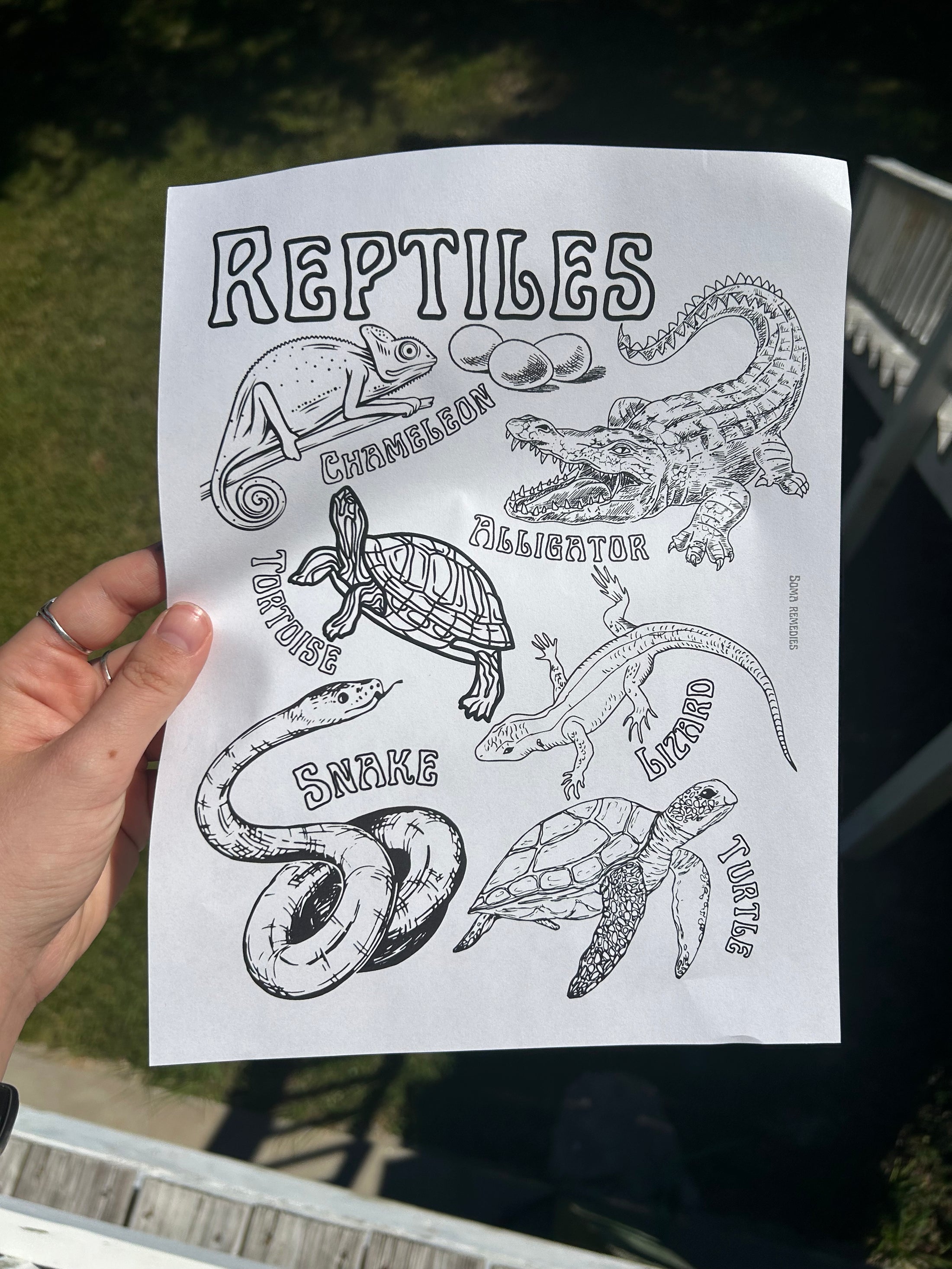 Reptiles Coloring Page