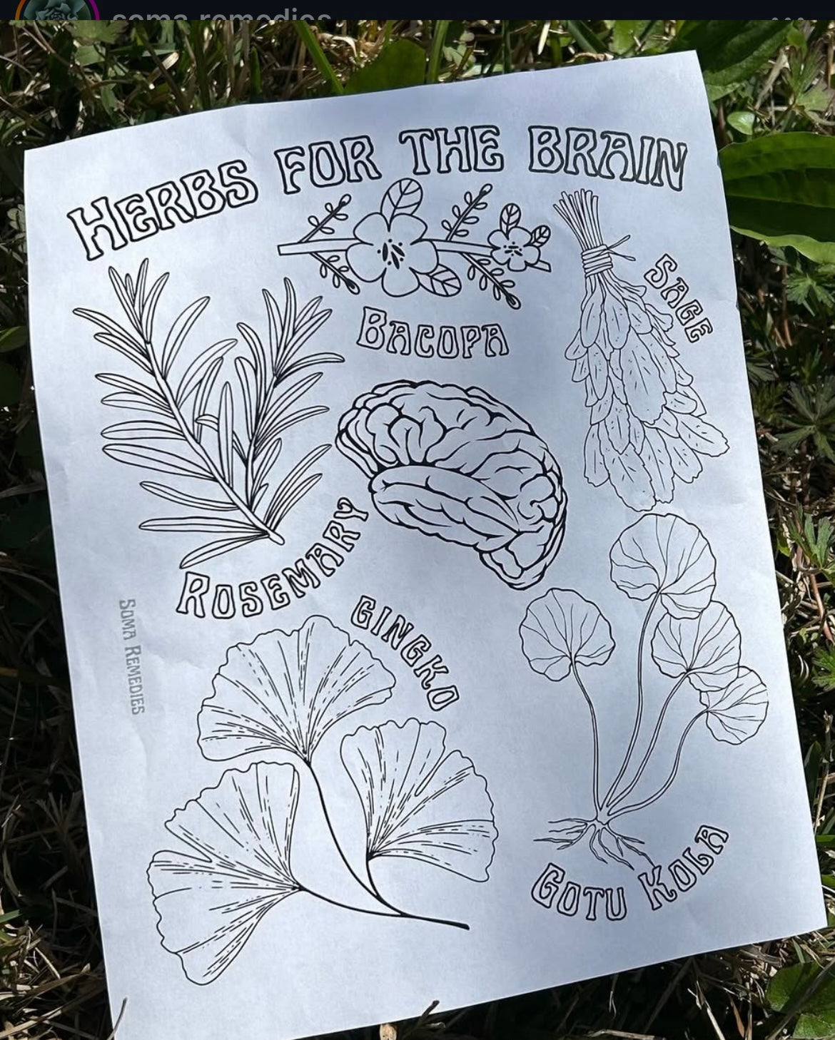 Brain Herbs Coloring Page