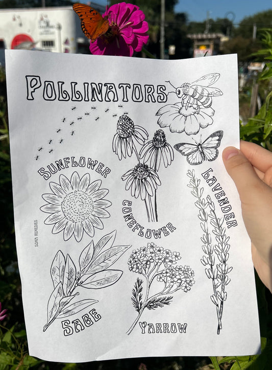 Pollinators Coloring Page