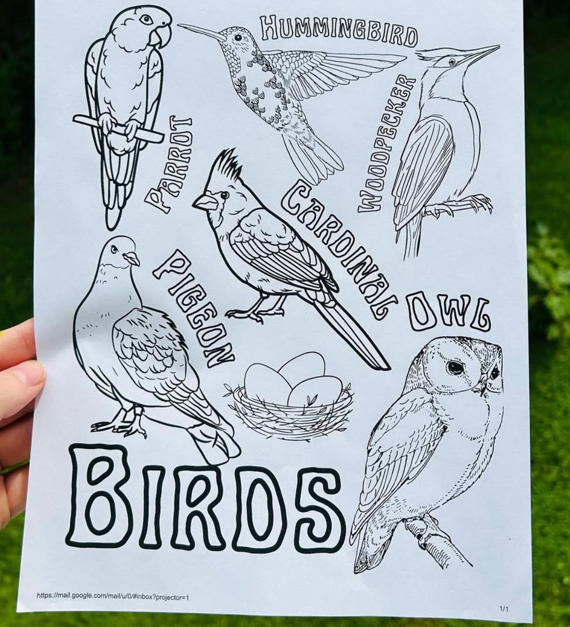Birds Coloring Page