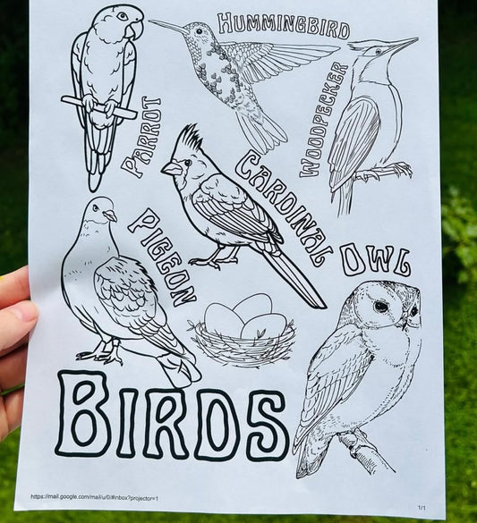 Birds Coloring Page