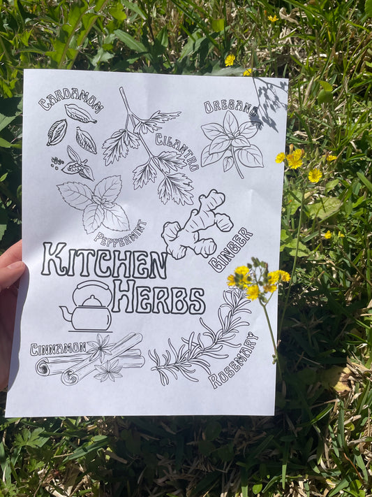 Kitchen Herbs Coloring Page