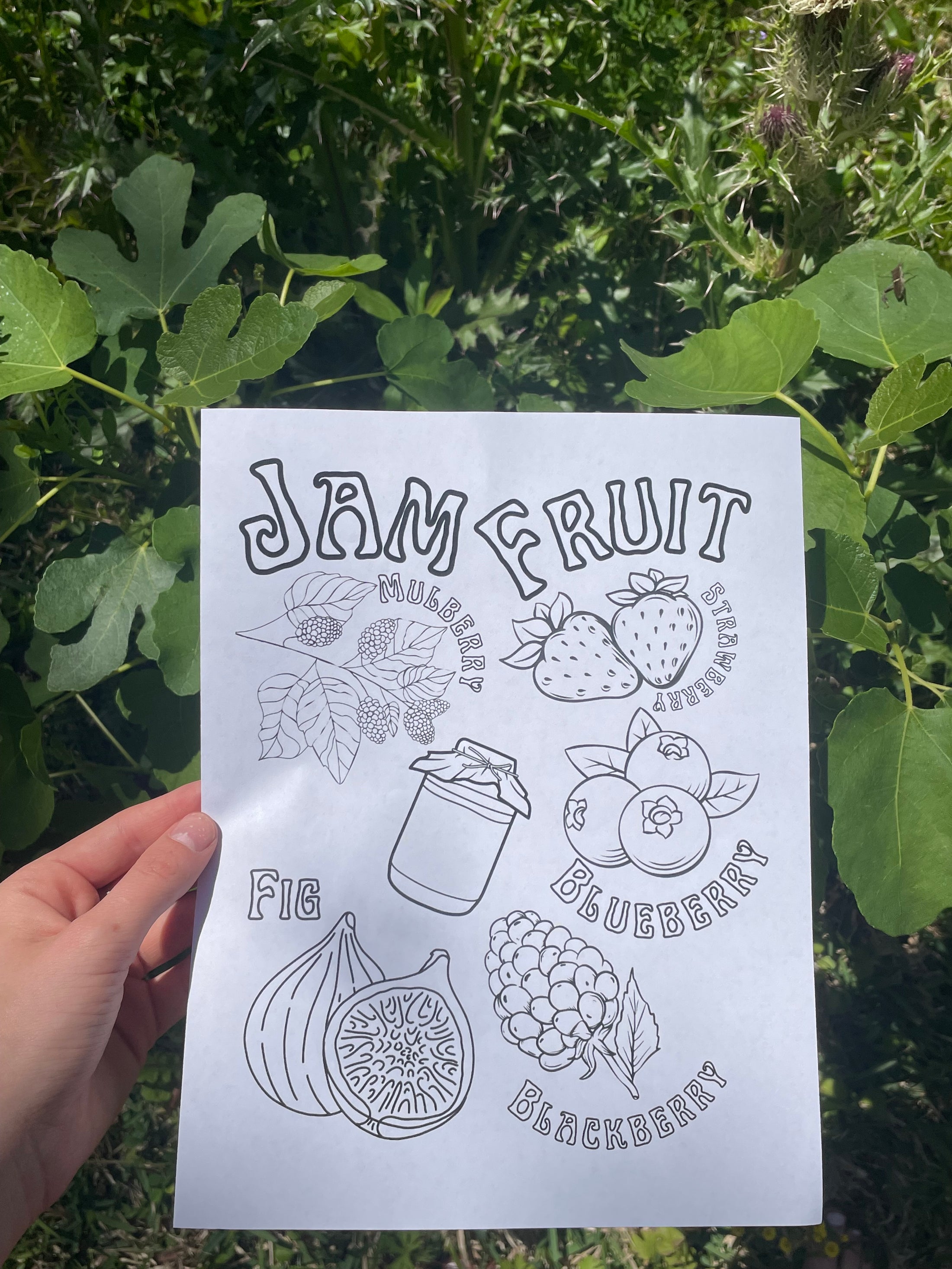 Jam Fruit Coloring Page