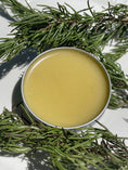 Load image into Gallery viewer, Rosemary, Nettle, & Plantain Salve