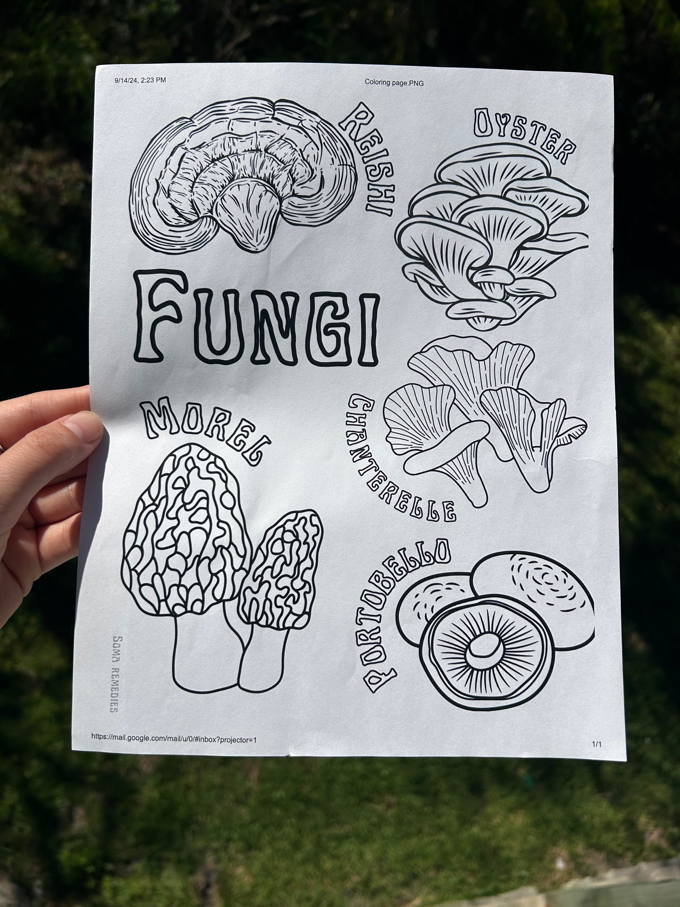 Fungi Coloring Page