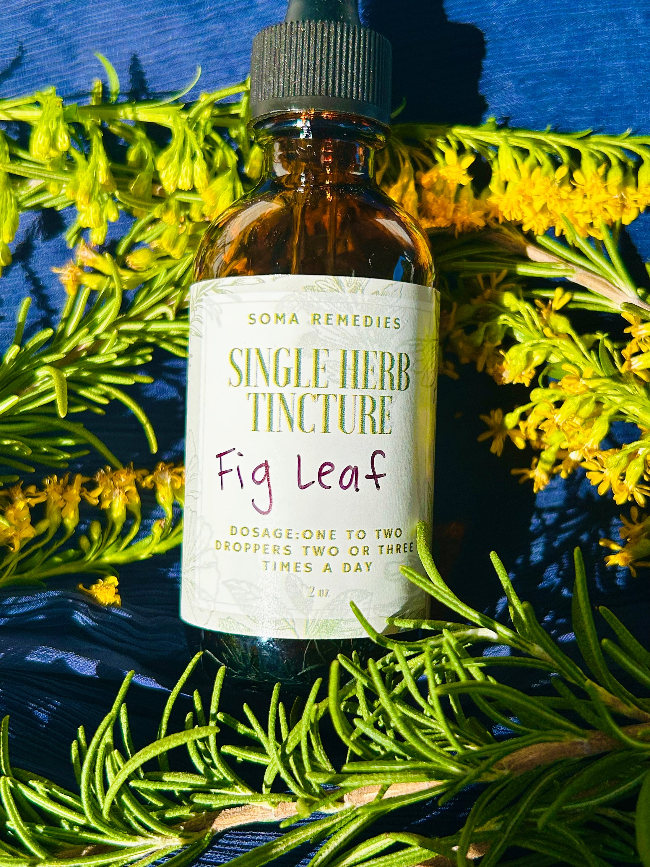Fig Leaf Tincture