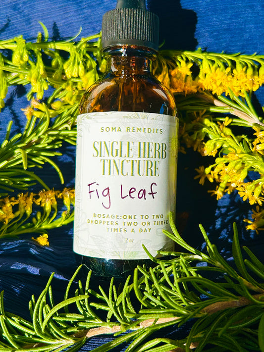Fig Leaf Tincture