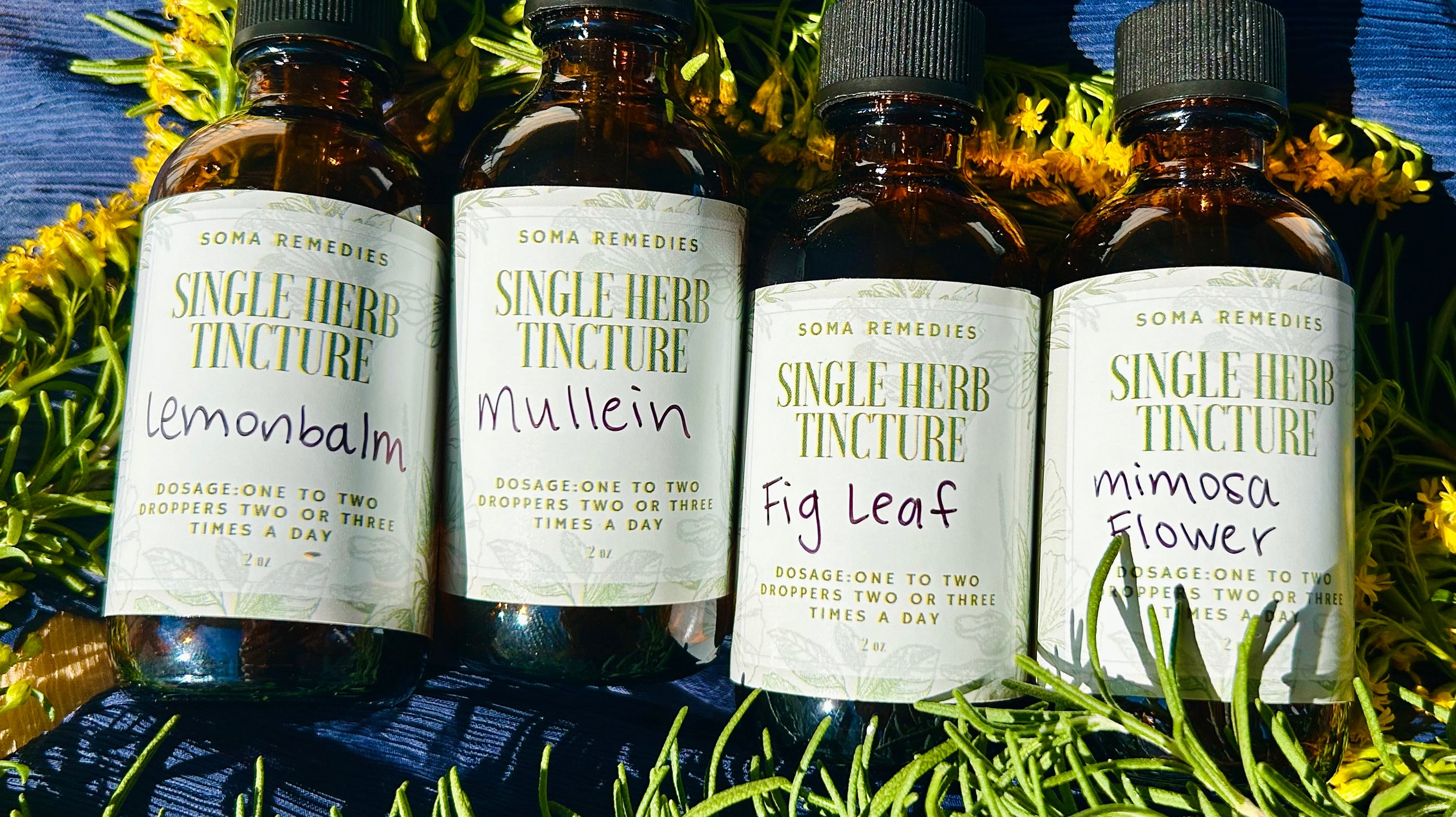 Single Herb Tinctures
