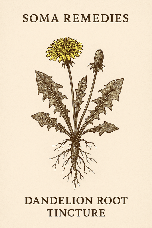 Dandelion Root Tincture