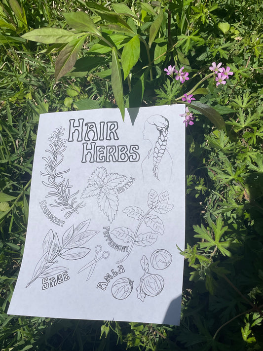 Hair Herbs Coloring Page