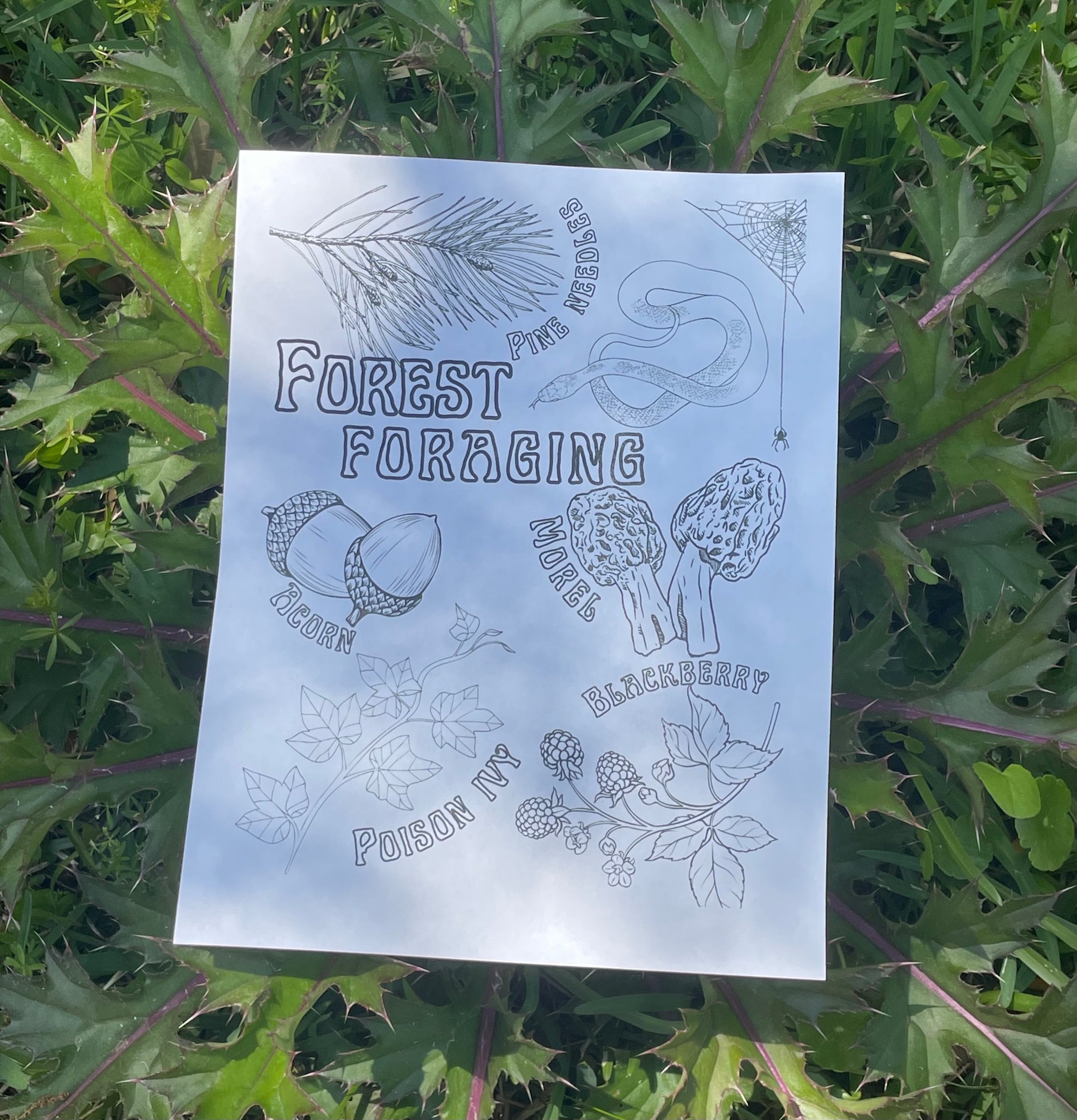 Forest Foraging Coloring Page