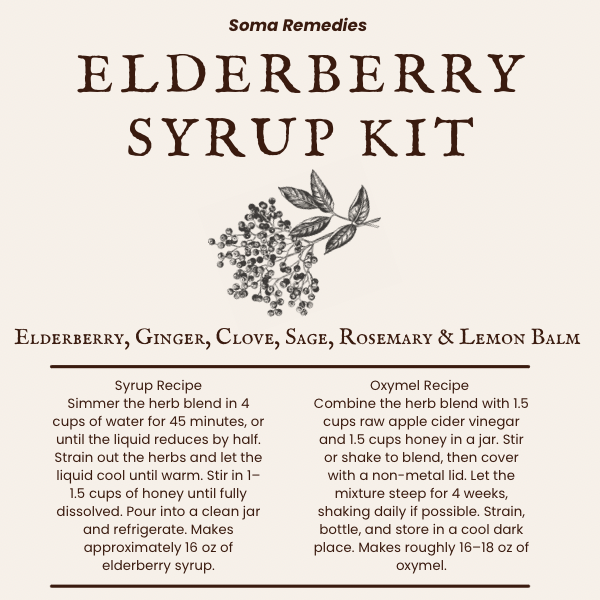 Elderberry Syrup Kit