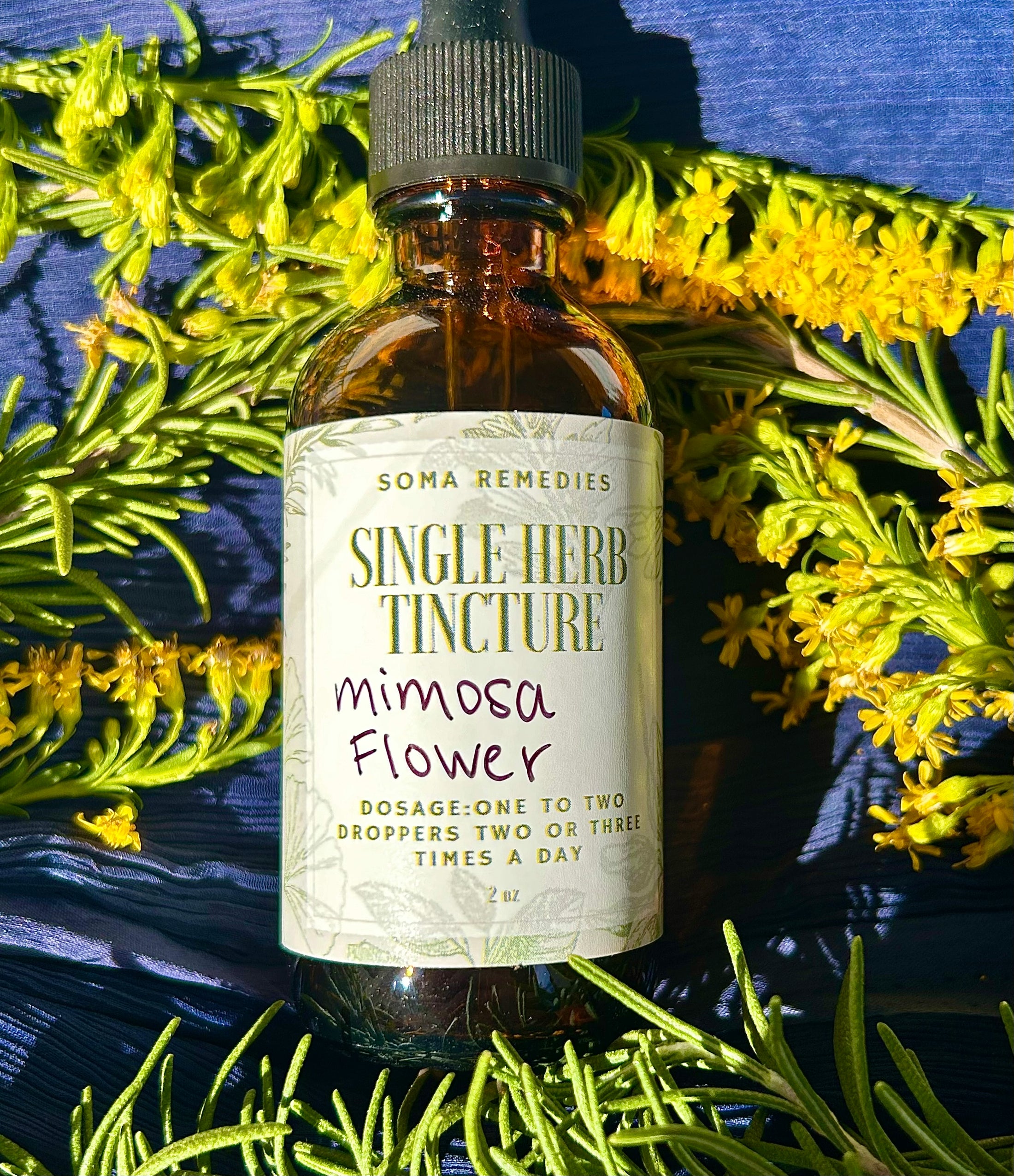 Mimosa Flower Tincture