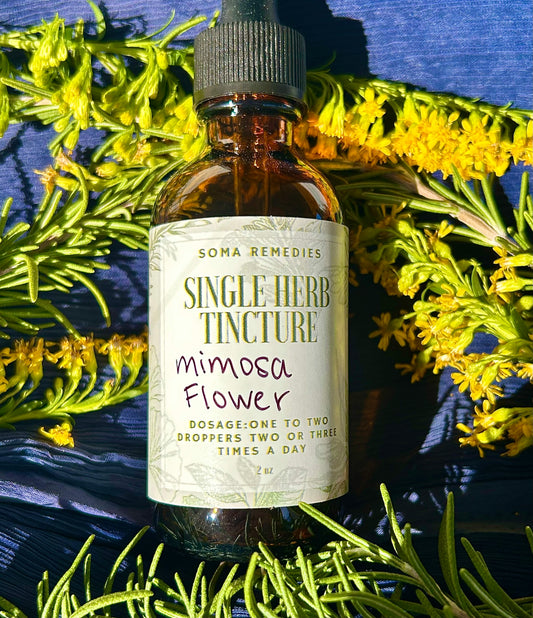 Mimosa Flower Tincture